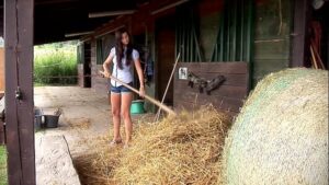 Image Megan Cox dando no seleiro de uma fazenda